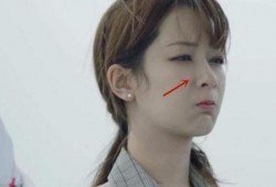 杨紫最新爆料长相思,长相思中的美丽与智慧