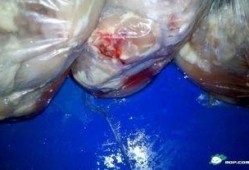 吃鸡皮肤返厂爆料最新,吃鸡皮肤返厂大揭秘，全新设计即将亮相！